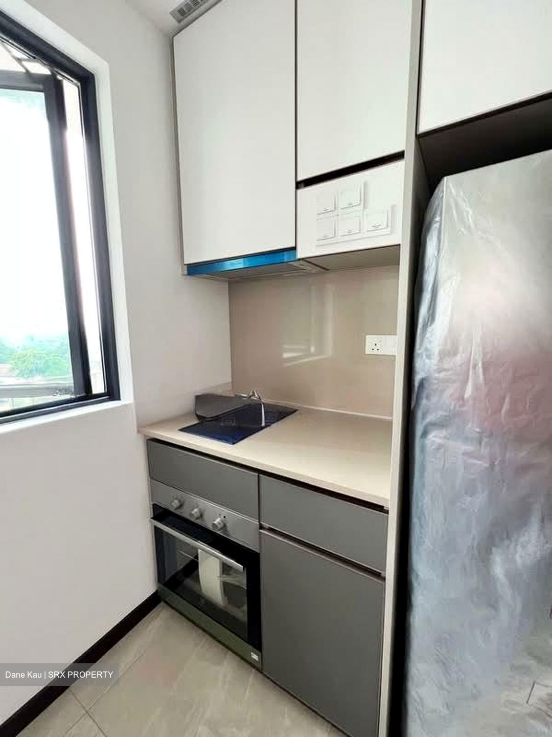 Normanton Park (D5), Apartment #580278041